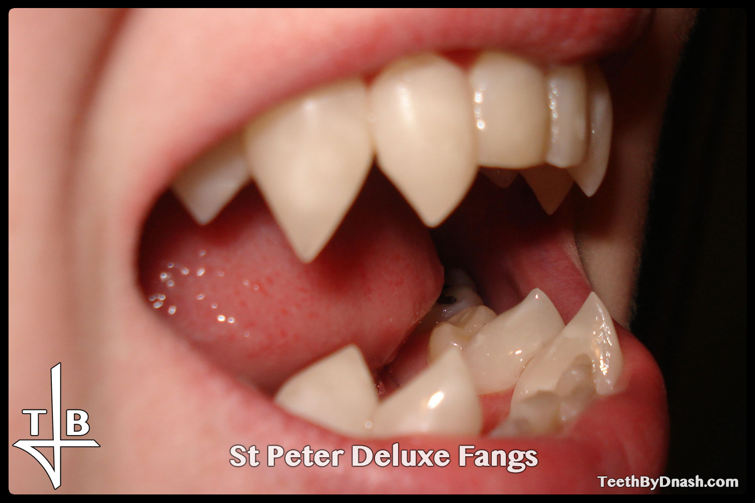 http://saint_peter_deluxe-custom_fangs-teeth_by_dnash-02