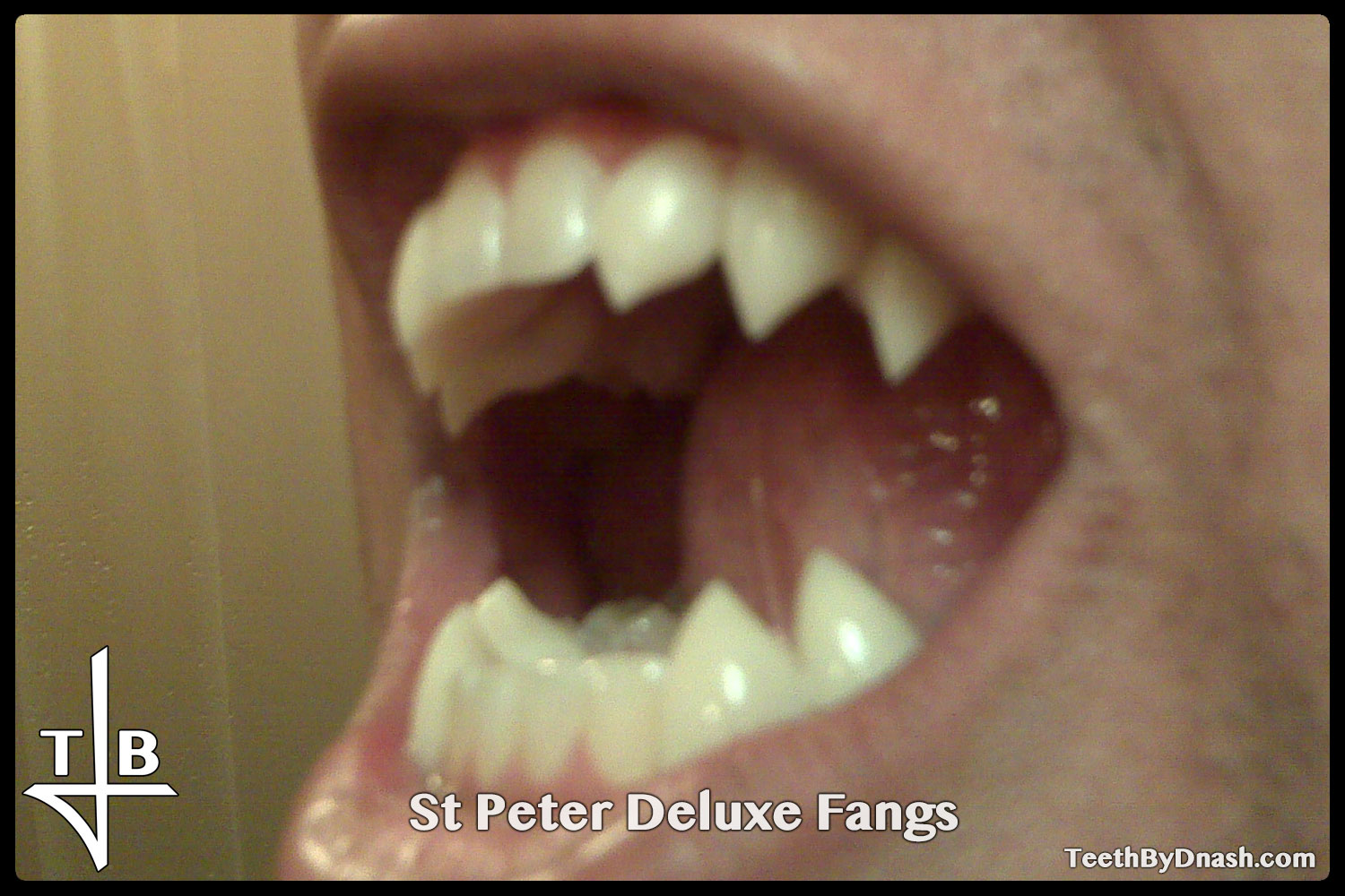 http://saint_peter_deluxe-custom_fangs-teeth_by_dnash-04