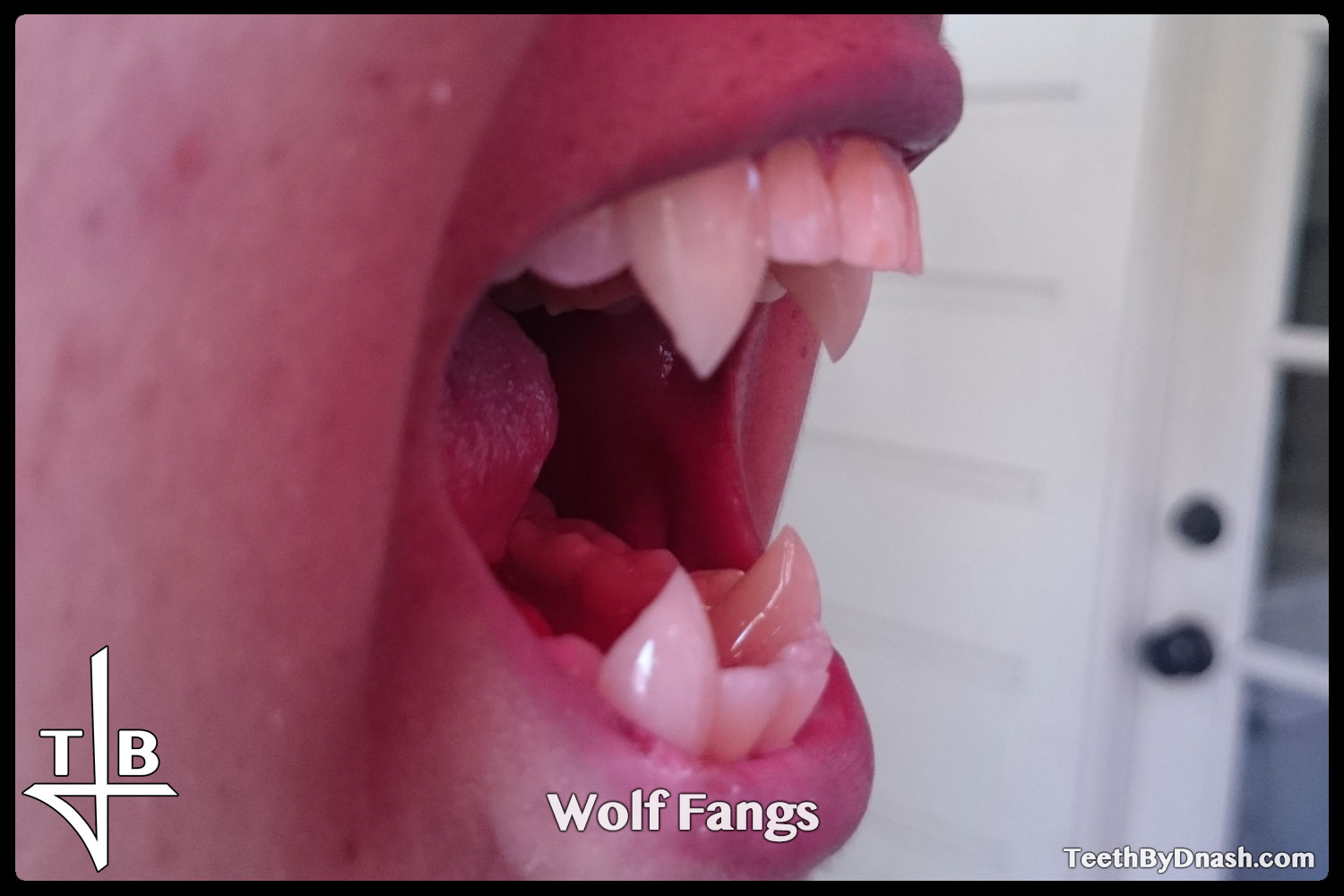 http://wolf-custom_fangs-teeth_by_dnash-06