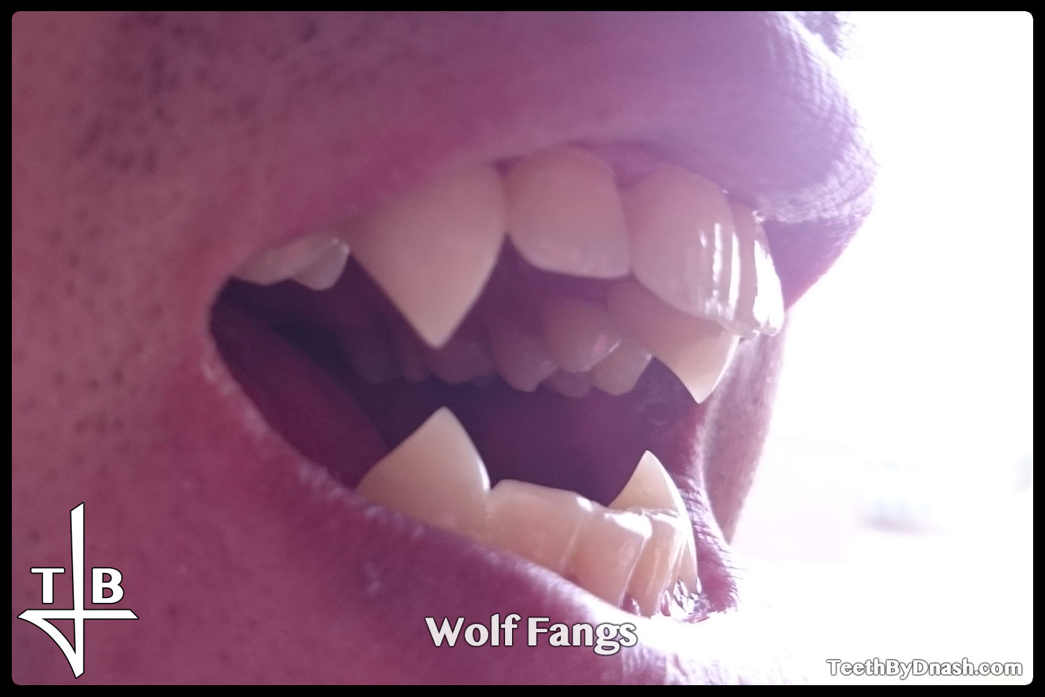 http://wolf-custom_fangs-teeth_by_dnash-09