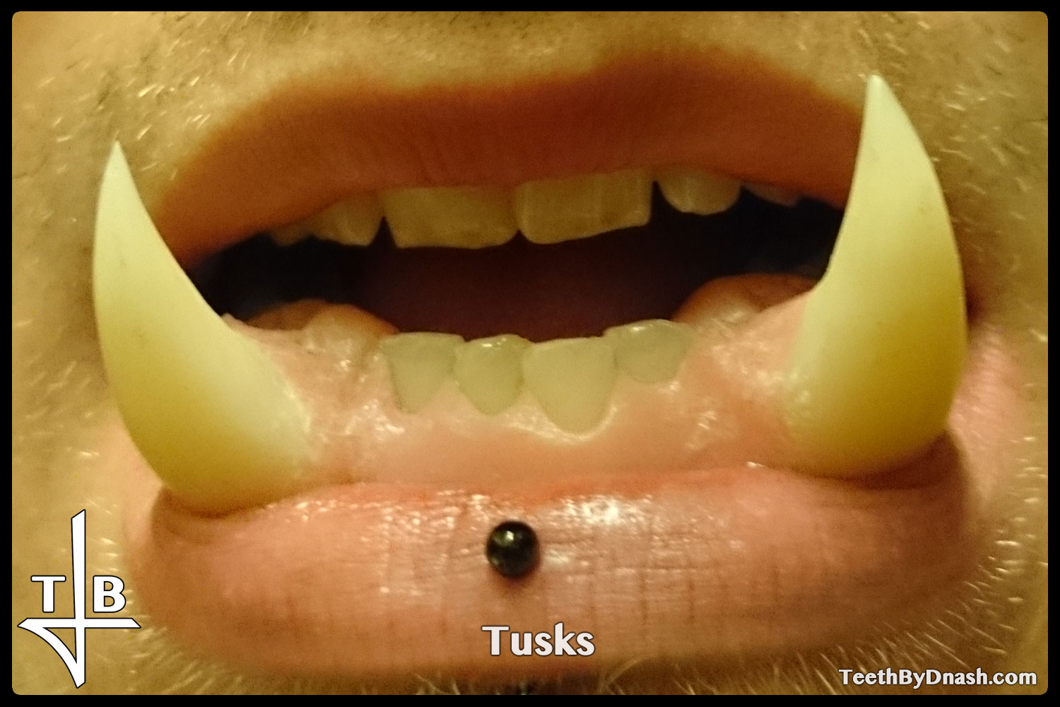 http://tusks-other_tooth_fx-teeth_by_dnash-01