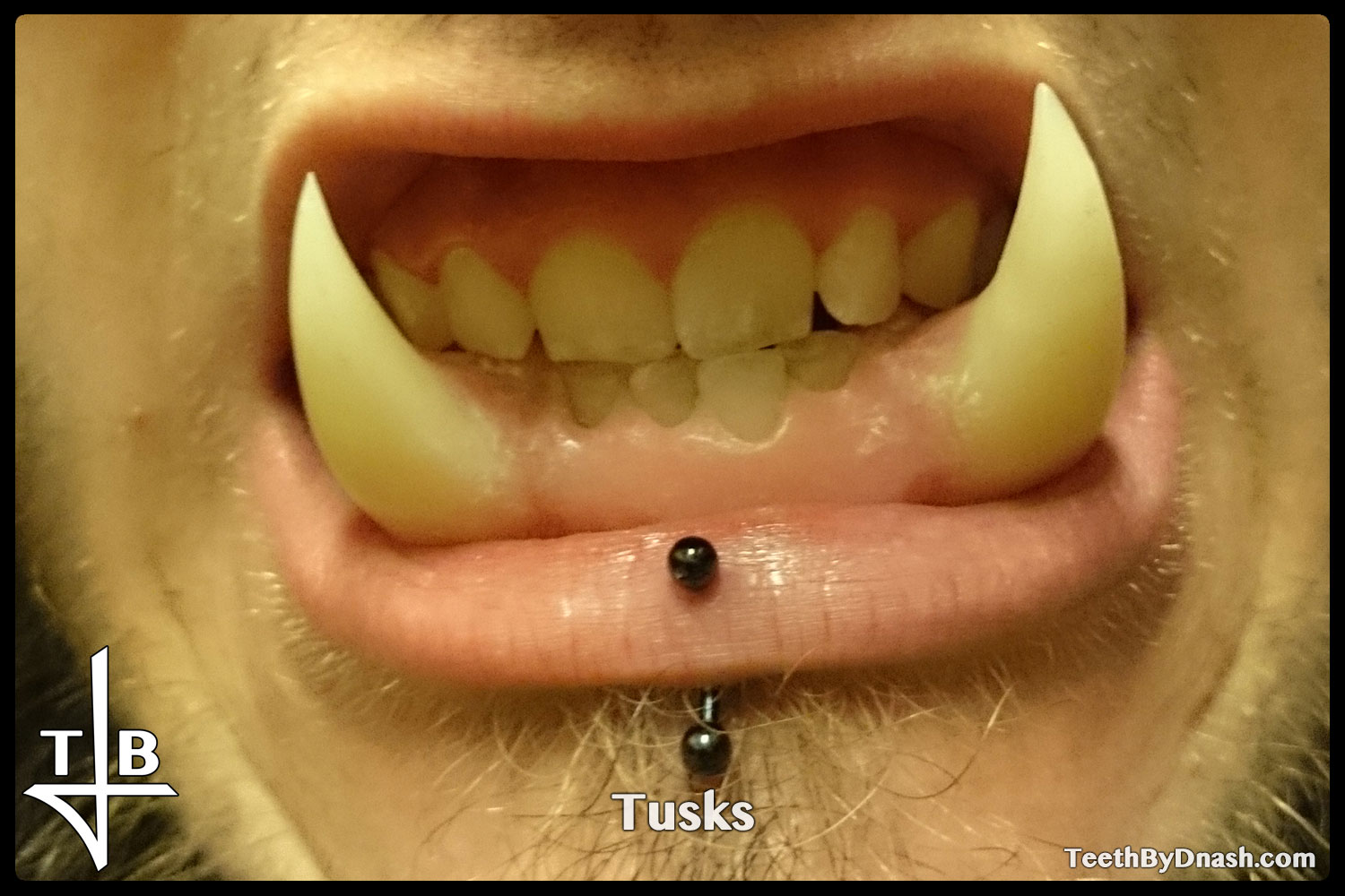 http://tusks-other_tooth_fx-teeth_by_dnash-02