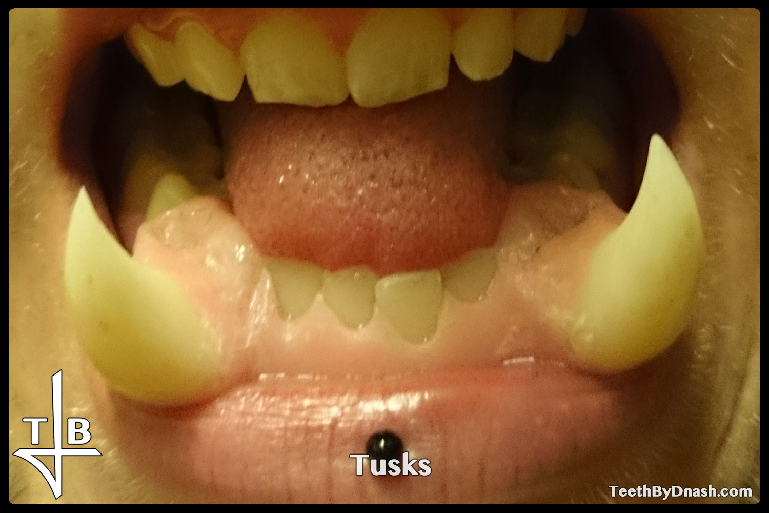 http://tusks-other_tooth_fx-teeth_by_dnash-03