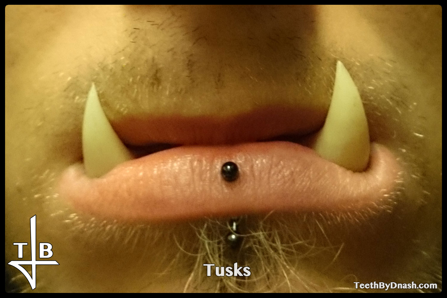 http://tusks-other_tooth_fx-teeth_by_dnash-04