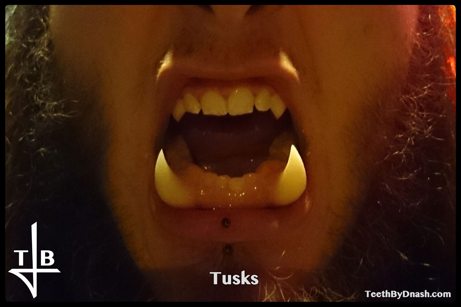 http://tusks-other_tooth_fx-teeth_by_dnash-06