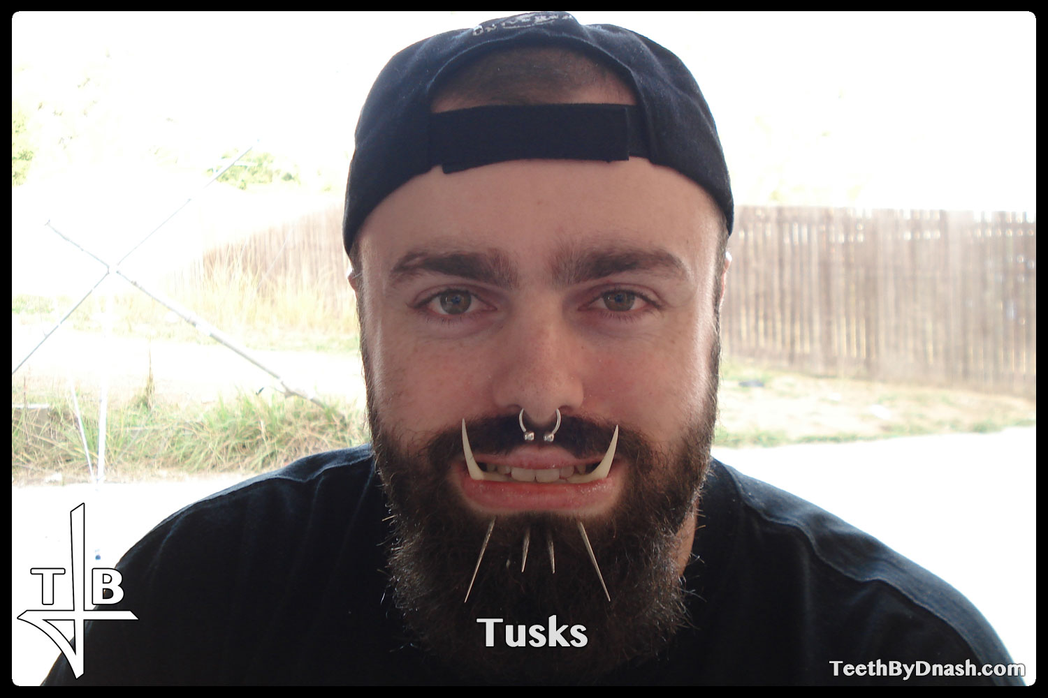 http://tusks-other_tooth_fx-teeth_by_dnash-11